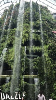 IMG_1783.jpg
