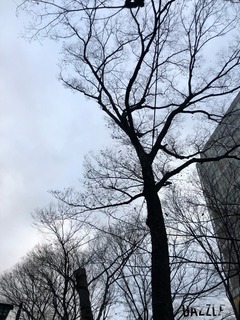 S__117899268.jpg
