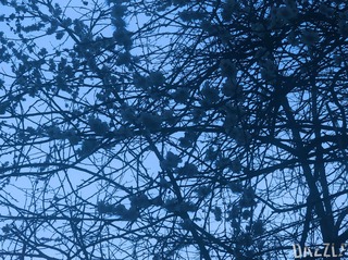 S__12230672.jpg