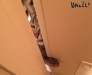 S__12247050.jpg