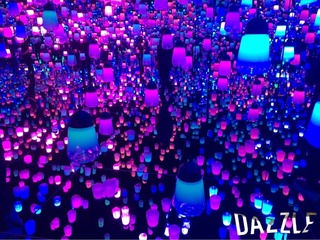 S__13041827.jpg