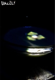 S__13041829.jpg