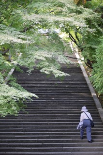 S__15106055.jpg
