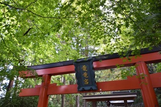 S__15106056.jpg