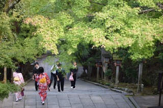 S__15106057.jpg