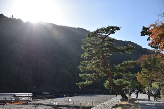 S__15106060.jpg