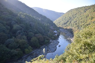 S__15106061.jpg