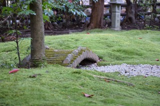 S__15106063.jpg