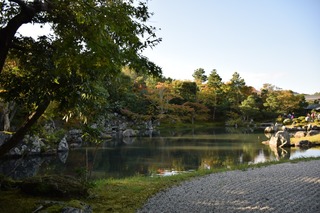 S__15106066.jpg