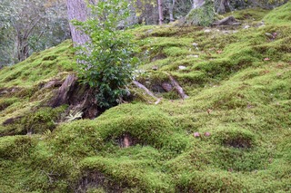 S__15106067.jpg