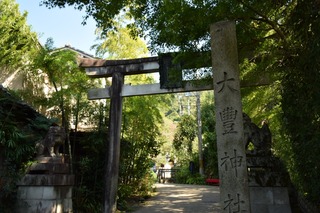 S__15343631.jpg