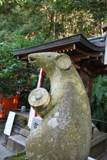S__15343632.jpg