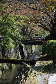 S__15343633.jpg