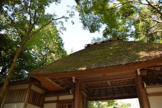S__15343634.jpg