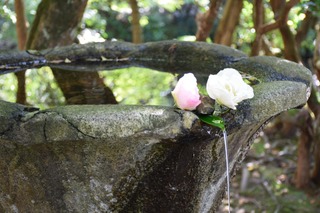 S__15343635.jpg