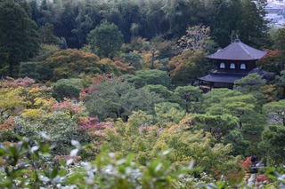 S__15343636.jpg