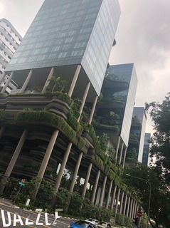 S__15769689.jpg