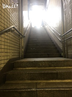 S__15826960.jpg