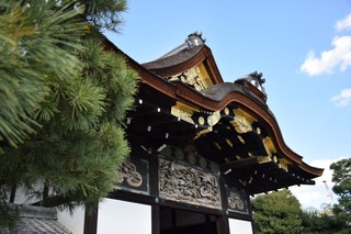 S__16048144.jpg