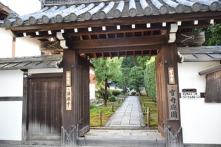 S__16048147.jpg