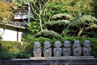S__16048149.jpg