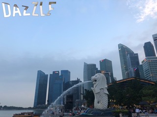S__16187497.jpg