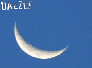 S__16187502.jpg
