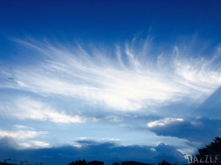 S__18087956.jpg