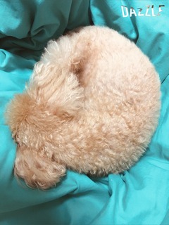 S__18120744.jpg