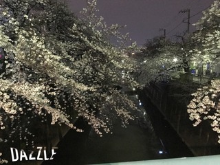 S__18972674.jpg