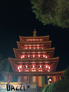 S__20553737.jpg