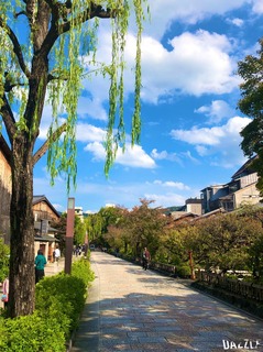 S__22519823.jpg