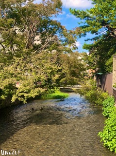 S__22519825.jpg