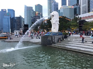 S__23150628.jpg