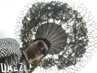S__23199777.jpg