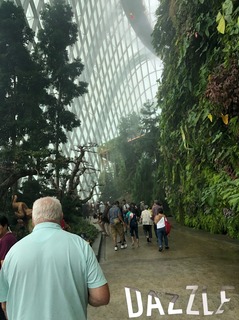S__23199778.jpg