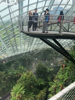 S__23199780.jpg