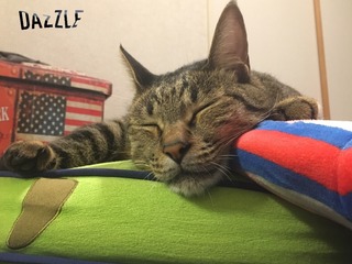 S__23248915.jpg