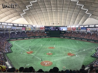 S__23609374.jpg