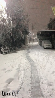 S__24231938.jpg
