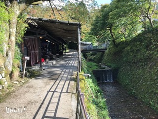 S__25575442.jpg