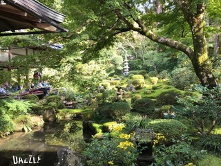 S__25575444.jpg