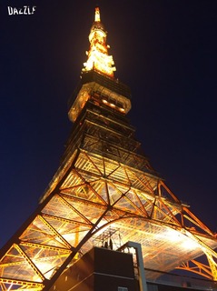 S__26329096.jpg