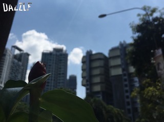 S__30023685.jpg