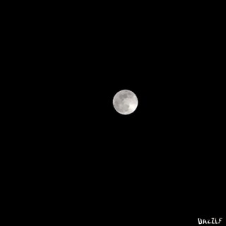S__31875084.jpg