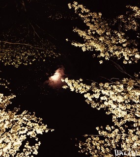 S__34209799.jpg
