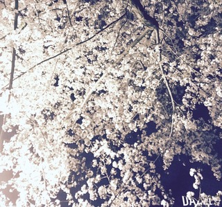 S__34209800.jpg
