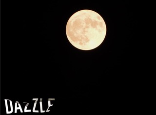 S__3448871.jpg