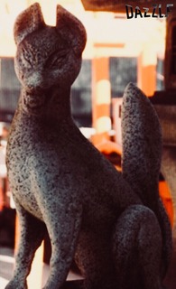 S__34701334.jpg