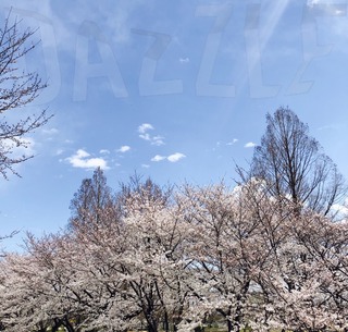 S__34938885.jpg